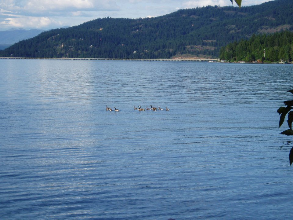 2005-SandPoint 008